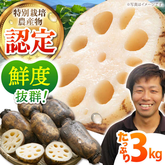 佐賀県江北町のふるさと納税返礼品(おすすめ)│2022最新情報【HISふるさと納税比較】 佐賀県江北町のふるさと納税返礼品(おすすめ)│2022最新情報【HISふるさと納税比較】
