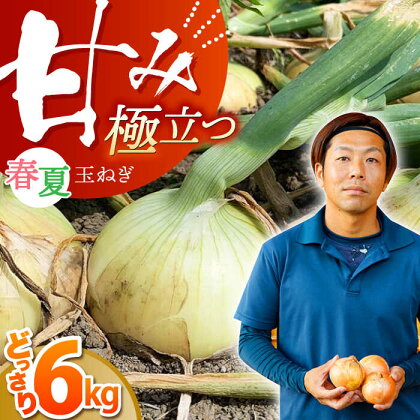 江北町産 たまねぎ 約6kg 【百武青果】 [HAE008]