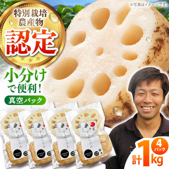 【ふるさと納税】【先行予約】＜地元江北町産＞佐賀れんこんパック1kg（250g×4）【百武青果】蓮根 レンコン 真空パック 佐賀 [HAE013]