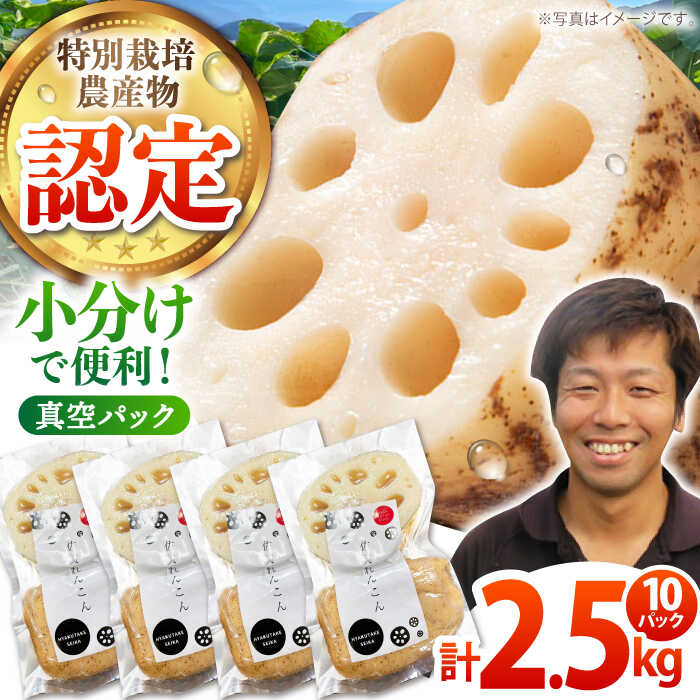 【ふるさと納税】地元江北町産 佐賀 れんこんパック 10パック（250g×10パック）【百武青果】 [HAE016]のサムネイル