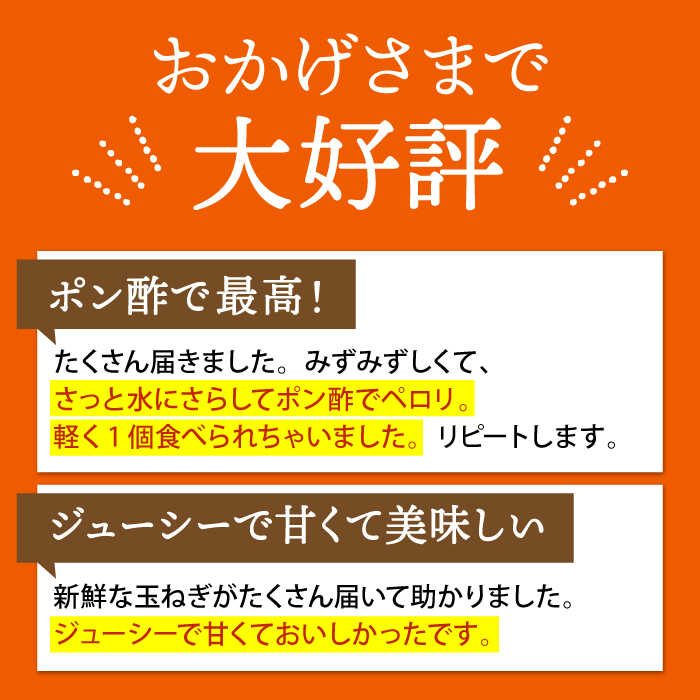 【ふるさと納税】江北町産 たまねぎ 約10kg【百武青果】 [HAE017]