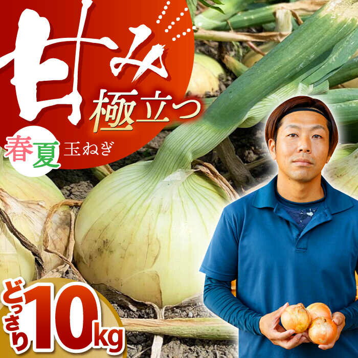 7位! 口コミ数「1件」評価「5」江北町産 たまねぎ 約10kg【百武青果】 [HAE017]