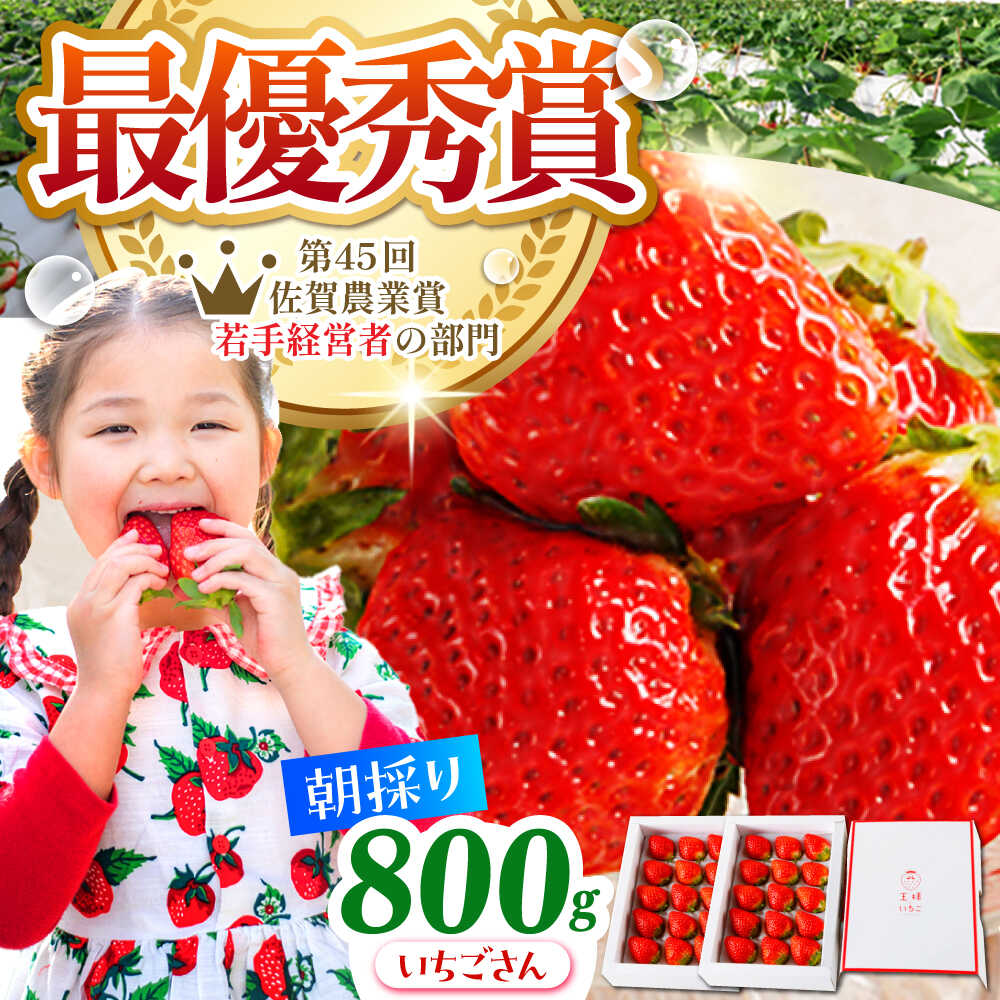 【ふるさと納税】【先行予約】【1〜2月発送】王様のいちご いちごさん 800g ( 400g 2箱 ) 【むらおか農園】 [HAF009] / 食品 フルーツ 果物 いちご 苺 いちごさん 佐賀県 ブランド 送料無料 18000 18000円のサムネイル