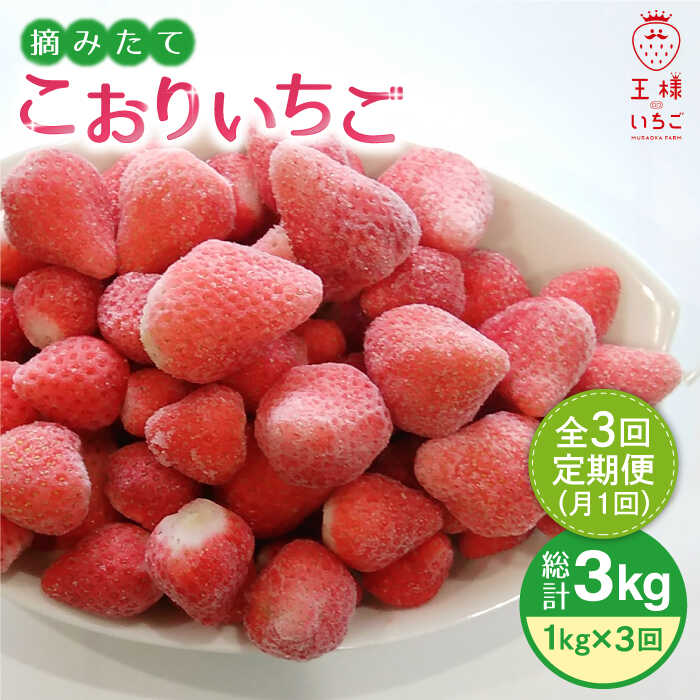 【ふるさと納税】【全3回定期便】王様のいちご 摘みたてこおりいちご 1kg ( 冷凍いちご ) いちごさん ...