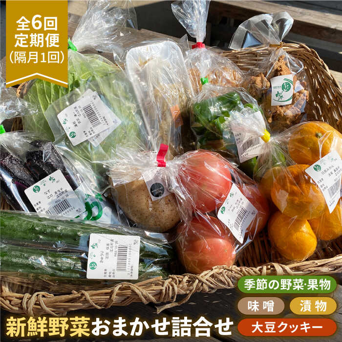 1位! 口コミ数「0件」評価「0」 【隔月発送】【全6回定期便】新鮮野菜・加工品 おまかせ詰め合わせ 【だいちの家】 [HAG017]