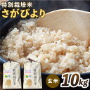 令和5年産 特別栽培米 さがびより 玄米 10kg  