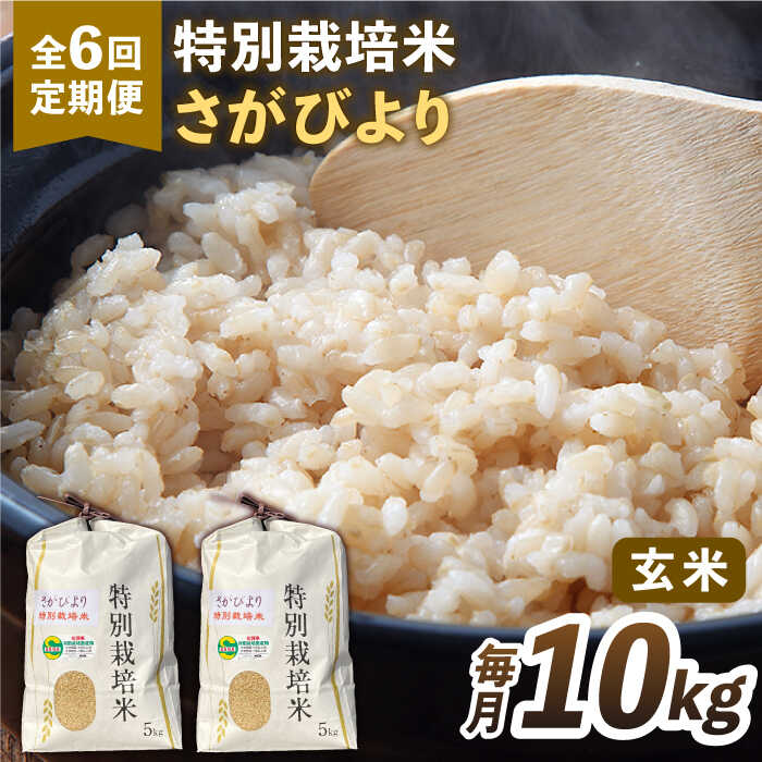 【全6回定期便】特別栽培米 さがびより 玄米 10kg 【だいちの家】 [HAG020]