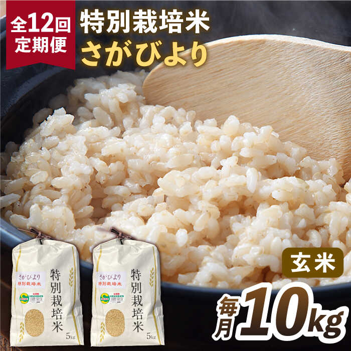 【ふるさと納税】【全12回定期便】特別栽培米 さがびより 玄