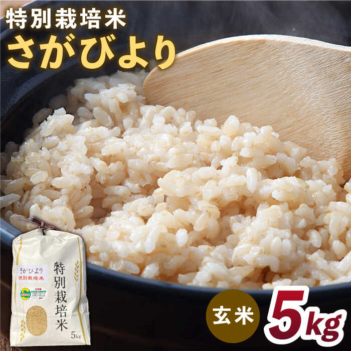 【ふるさと納税】【安心・安全な佐賀の米】特別栽培米「さがびより」玄米 5kg 【だいちの家】特A米 特...