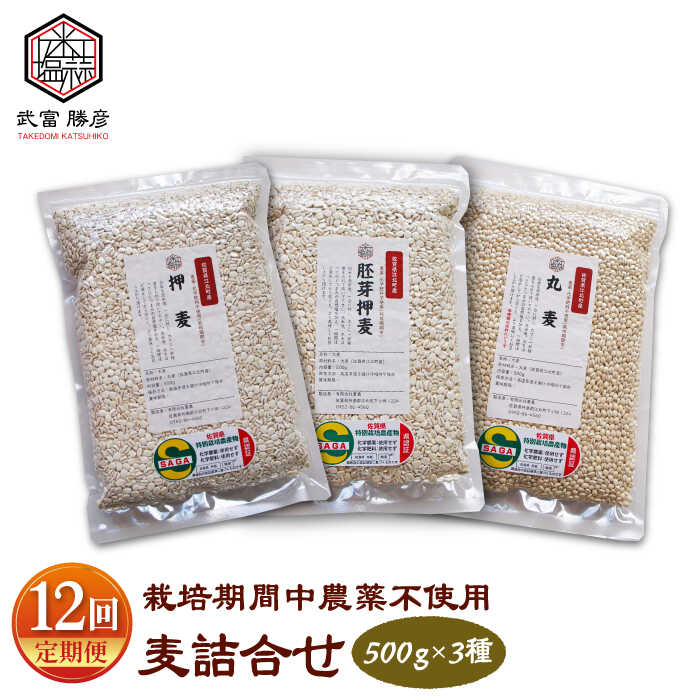 【ふるさと納税】【全12回定期便】麦詰合 1.5kg ( 500g 3種 ) 江北町産 サチホゴールデン 【葦農】 [HAJ033]