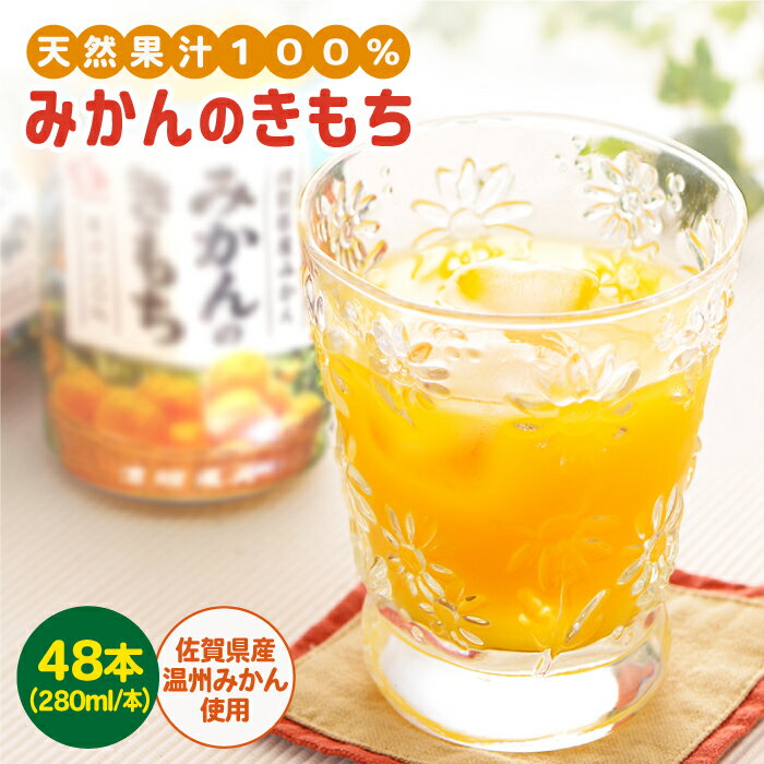 5位! 口コミ数「0件」評価「0」みかんのきもち 2箱セット ( 280ml 48本 ) 【JAさが 杵島支所】 [HAM003]