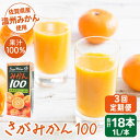 ＜全3回定期便＞ さがみかん100　総計18本（1L×6本）果汁100% 濃縮還元