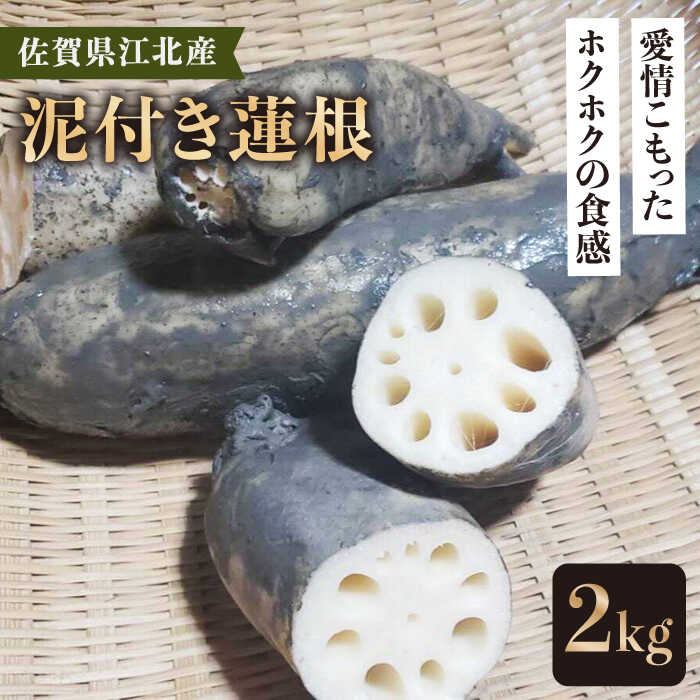 【ふるさと納税】【先行予約】佐賀江北産 昔蓮根（泥付き）2kg【藤瀬農園】佐賀 れんこん レンコン [HAN001]