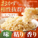 佐賀県江北町の画像3