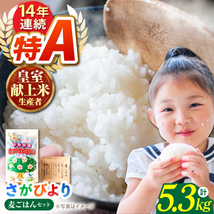 さがびより・ヒヨクモチブレンド精米20kg令和6年産