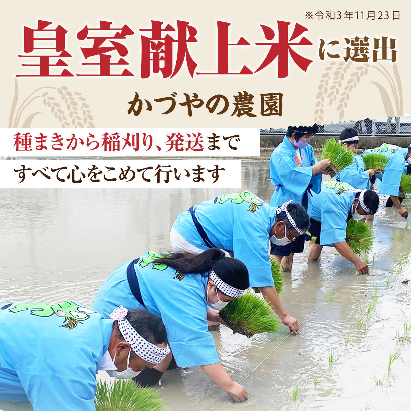【ふるさと納税】令和8年産 新米 ひなたまる 玄米 5kg 【かづやの農園】 玄米 米 お米[HAP018] f414247-kouhoku-10002516 佐賀県江北町 サンプル画像2