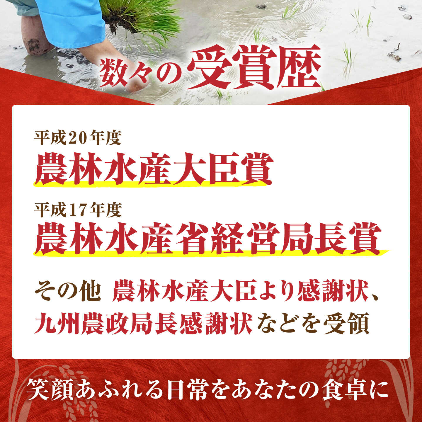 【ふるさと納税】令和8年産 新米 ひなたまる 玄米 5kg 【かづやの農園】 玄米 米 お米[HAP018] f414247-kouhoku-10002516 佐賀県江北町 サンプル画像3