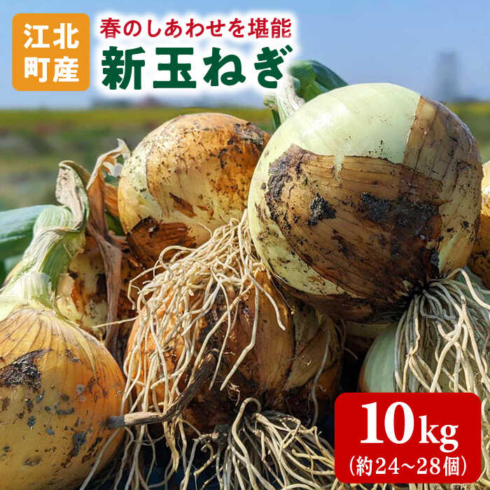 【ふるさと納税】【先行予約】佐賀県江北町産 新玉ねぎ 10kg【こうふく農園】 [HBA002]