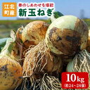 【ふるさと納税】【先行予約】佐賀県江北町産 新玉ねぎ 10kg【こうふく農園】 [HBA002]