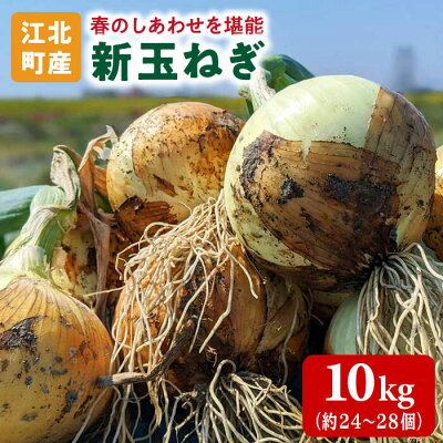 楽天ふるさと納税　【ふるさと納税】【先行予約】佐賀県江北町産 新玉ねぎ 10kg【こうふく農園】 [HBA002]