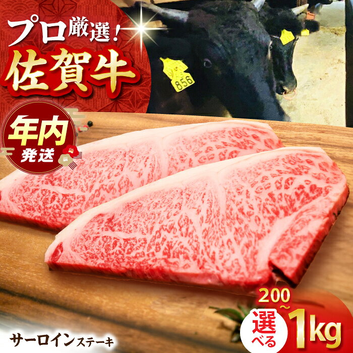 [12/15入金まで年内発送][選べる容量・回数]佐賀牛 サーロイン ステーキ ( 200g / 400g / 600g / 1kg ) [田中畜産牛肉店] 