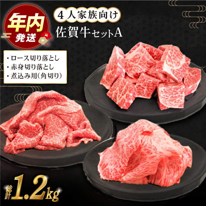 【ふるさと納税】【12/15入金まで年内発送】佐賀牛 4人家族向け 普段使いセットA ( 切り落とし 角切り ..