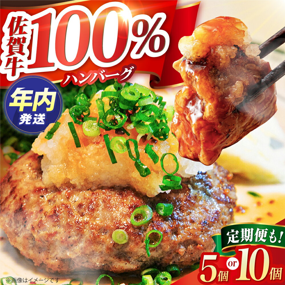 佐賀牛 ハンバーグ [選べる容量・回数][田中畜産牛肉店] [HBH039] / 黒毛和牛 牛肉 肉 ハンバーグ 個包装