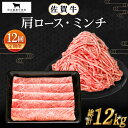 【ふるさと納税】【全12回定期便】佐賀牛 スライス ミンチ 1kg ( 各500g ) 【田中畜産牛肉店】 [HBH109]