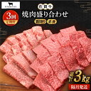 8位! 口コミ数「0件」評価「0」【全3回定期便】【隔月発送】佐賀牛 焼肉セット 1.0kg（霜降り・赤身 各500g）【田中畜産牛肉店】 [HBH122]