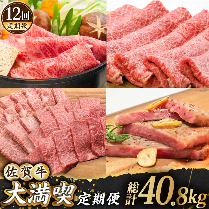 [全12回]佐賀牛 大満喫定期便[田中畜産牛肉店] 