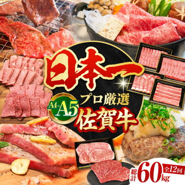 【ふるさと納税】＜全12回＞佐賀牛 贅沢定期便【田中畜産牛肉店】黒毛和牛 牛肉 肉 定期便 ステーキ ヒレ フィレ サーロイン 肩ロース リブロース 赤身 カルビ [HBH045]