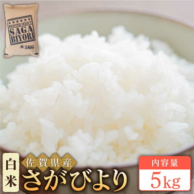 楽天ふるさと納税　【ふるさと納税】令和3年産 さがびより 白米 5kg【大塚米穀店】特A米 特A評価 [HBL003]