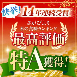 【ふるさと納税】【リピーター続出！】令和5年産 無洗米 ＜さがびより・夢しずく・ヒノヒカリ＞5kg/10kg【大塚米穀店】 [HBL005]