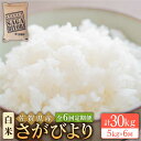 【ふるさと納税】【全6回定期便】令和5年産 さがびより 白米