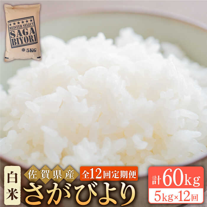 [13年連続特A評価][全12回定期便]令和5年産 さがびより 白米 5kg[大塚米穀店] 