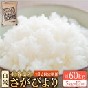 13位! 口コミ数「0件」評価「0」＜13年連続特A評価＞【全12回定期便】令和5年産 さがびより 白米 5kg【大塚米穀店】 [HBL021]