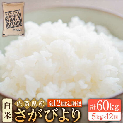 ＜13年連続特A評価＞【全12回定期便】令和5年産 さがびより 白米 5kg【大塚米穀店】 [HBL021]