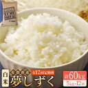 人気ランキング第38位「佐賀県江北町」口コミ数「0件」評価「0」【全12回定期便】令和5年産 夢しずく 白米 5kg【大塚米穀店】 [HBL024]