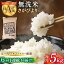 【ふるさと納税】【全6回定期便】令和5年産 新米さがびより 無洗米 5kg【大塚米穀店】 [HBL026]