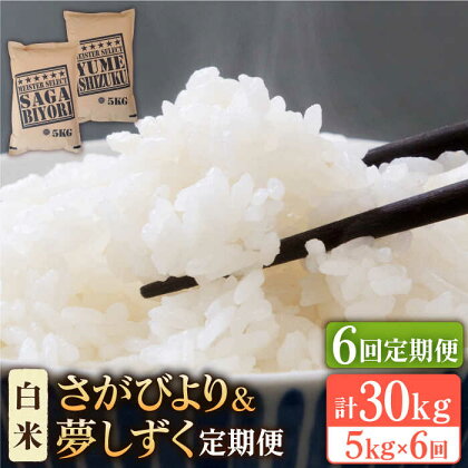 【全6回定期便】令和5年産 新米＜2種食べ比べお楽しみセット＞さがびより・夢しずく 白米 5kg【大塚米穀店】 [HBL031]