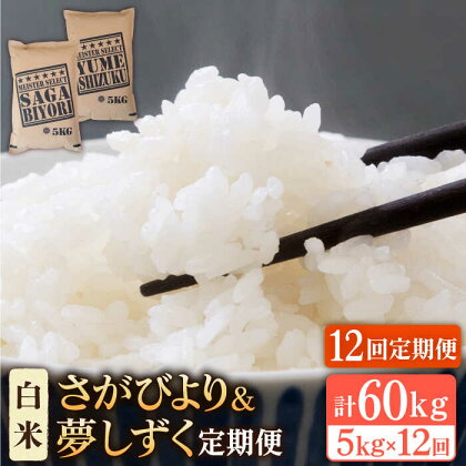 【全12回定期便】令和5年産 新米＜2種食べ比べお楽しみセット＞さがびより・夢しずく 白米 5kg【大塚米穀店】 [HBL032]