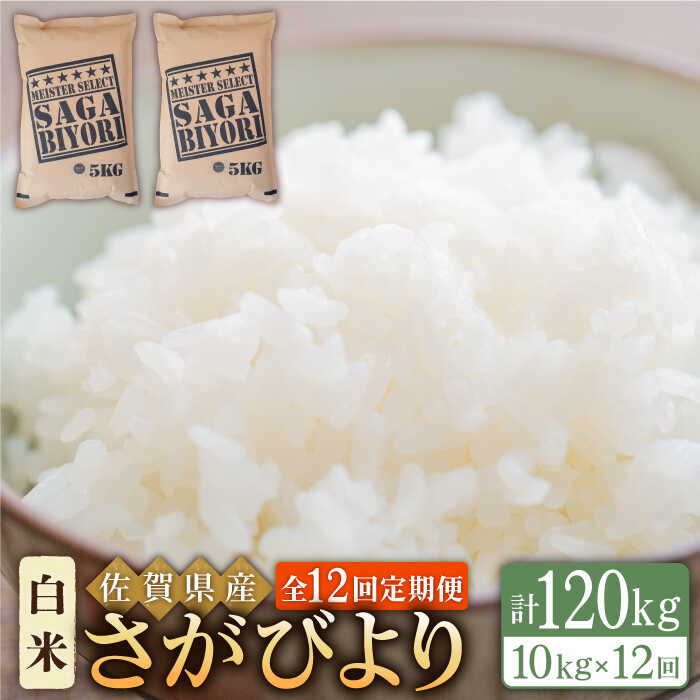 【ふるさと納税】【全12回定期便】令和5年産 さがびより 白