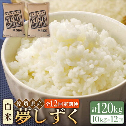 【全12回定期便】令和5年産 夢しずく 白米 10kg（5kg×2袋）【大塚米穀店】 [HBL046]