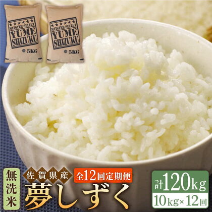 【全12回定期便】令和5年産 夢しずく 無洗米 10kg（5kg×2袋）【大塚米穀店】 [HBL052]