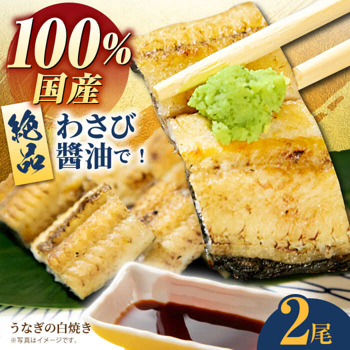 白焼き 【ふるさと納税】【父の日ギフト対象】国産 うなぎ 白焼き 2尾【魚正】 [HBV005]