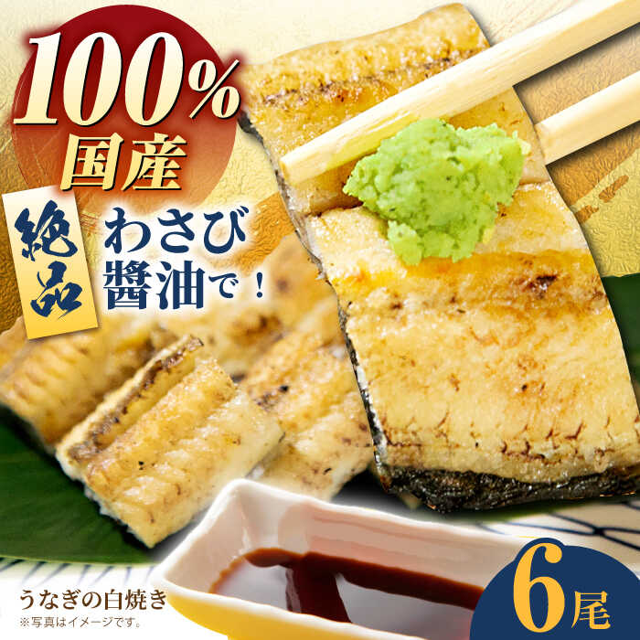 58位! 口コミ数「0件」評価「0」国産 うなぎ 白焼き 4尾【魚正】 [HBV007]