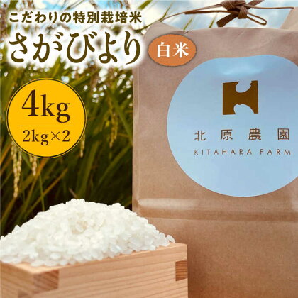 令和5年産 こだわりの特別栽培米 白米 さがびより 4kg【北原農園】 [HCA004]