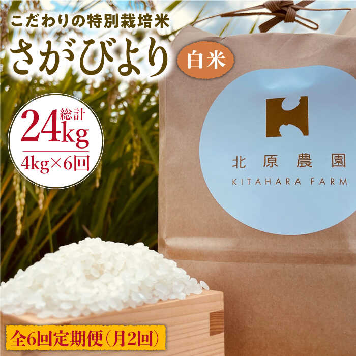 【月2回発送】【全6回定期便】こだわりの白米 さがびより 4kg【北原農園】 [HCA014]