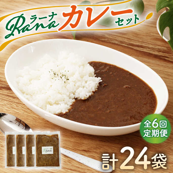 11位! 口コミ数「0件」評価「0」【全6回定期便】Ranaカレー 4袋セット【創作キッチンRana】 [HCK007]