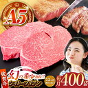 【ふるさと納税】【全12回定期便】佐賀牛シャトーブリアン 毎月400g（200g×2パック）【がばいフーズ】[HCS106]